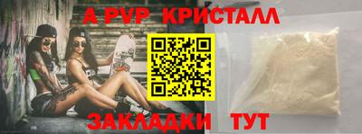 ешки Кингисепп