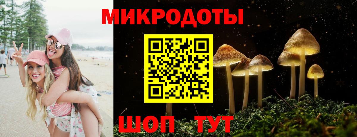 Куйбышев  закладки  Вход с VPN  Псилоцибиновые грибы мицелий  Псилоцибиновые грибы ЛСД 